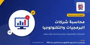 محاسبة شركات البرمجيات والتكنولوجيا في مصر - نور أبو زيد محاسبون قانونيون